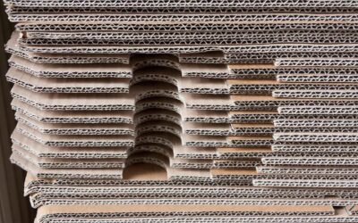 Trendy w kartonach 2025