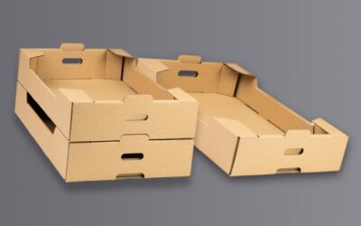 Opakowania kartonowe na warzywa i owoce